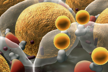 Cell penetrating peptides