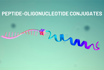 High-quality Peptide-Oligonucleotide Conjugates for Life Science research